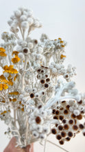 Load image into Gallery viewer, Dried Silver Dust Flowers

