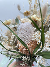 Load image into Gallery viewer, Banksia Prionotes
