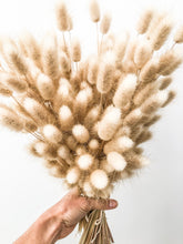 Load image into Gallery viewer, Dried Bunny Tail Grass

