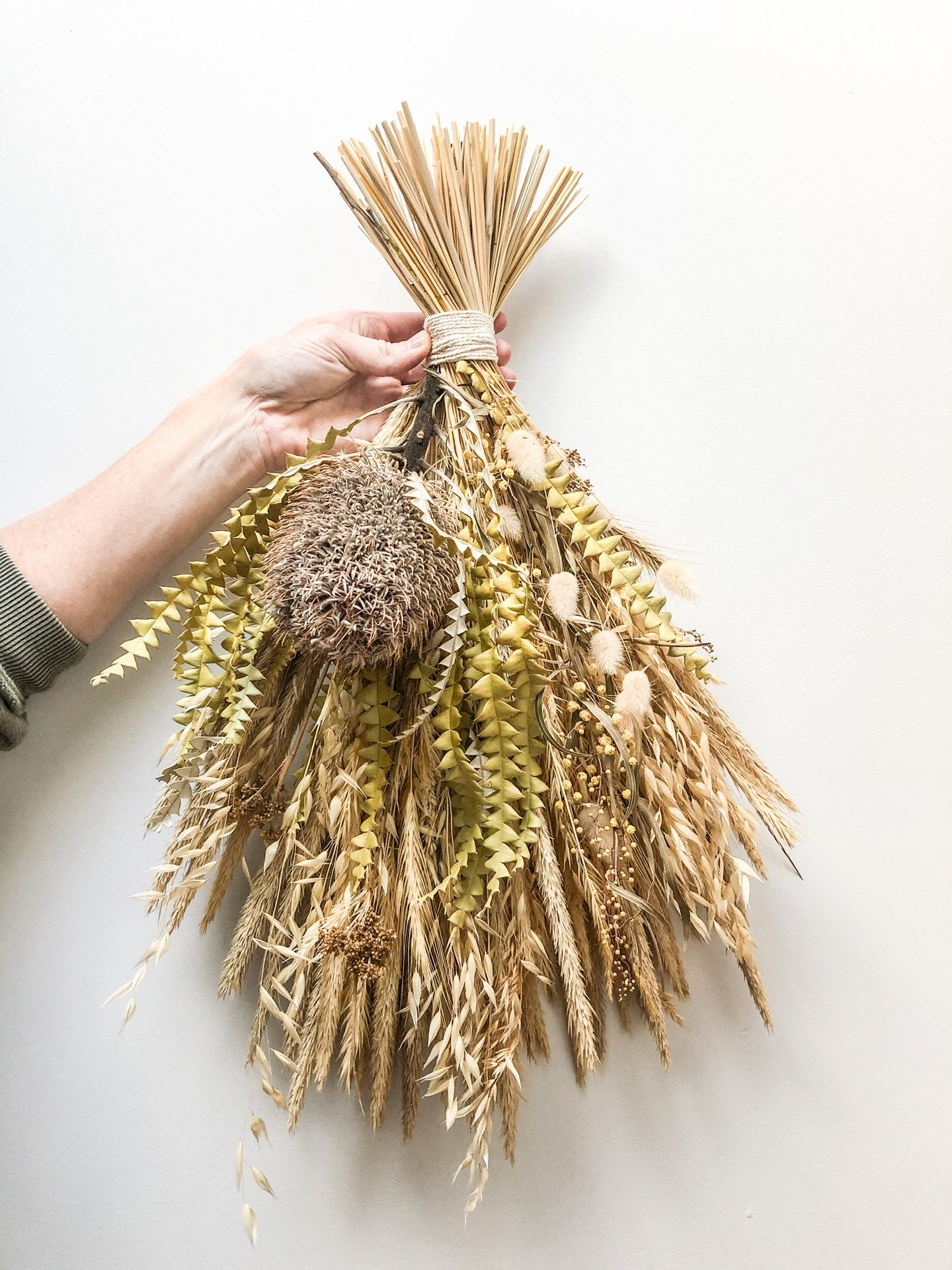 Banksia Fan