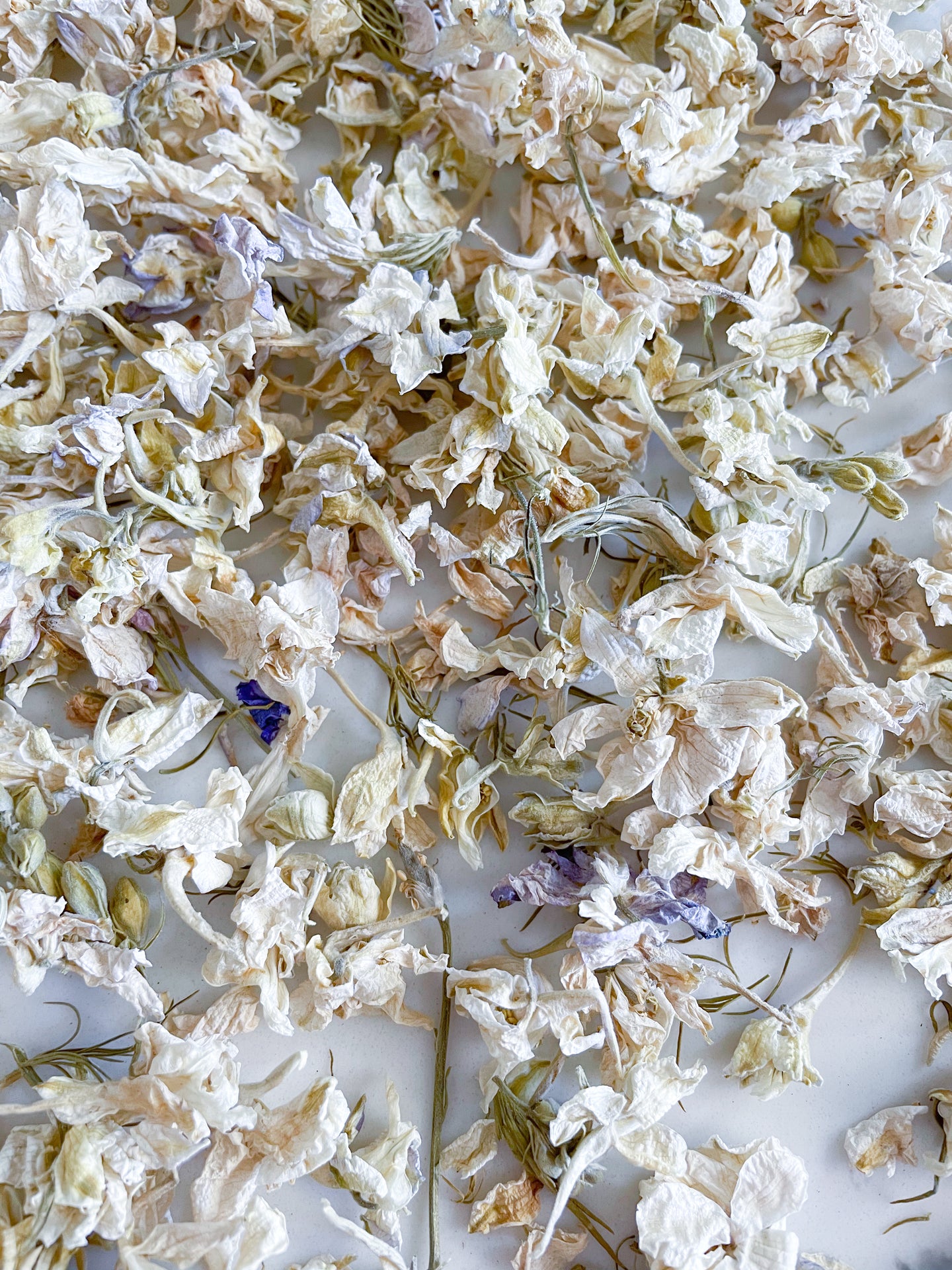 Larkspur Dried Flower Confetti -Edibles mix