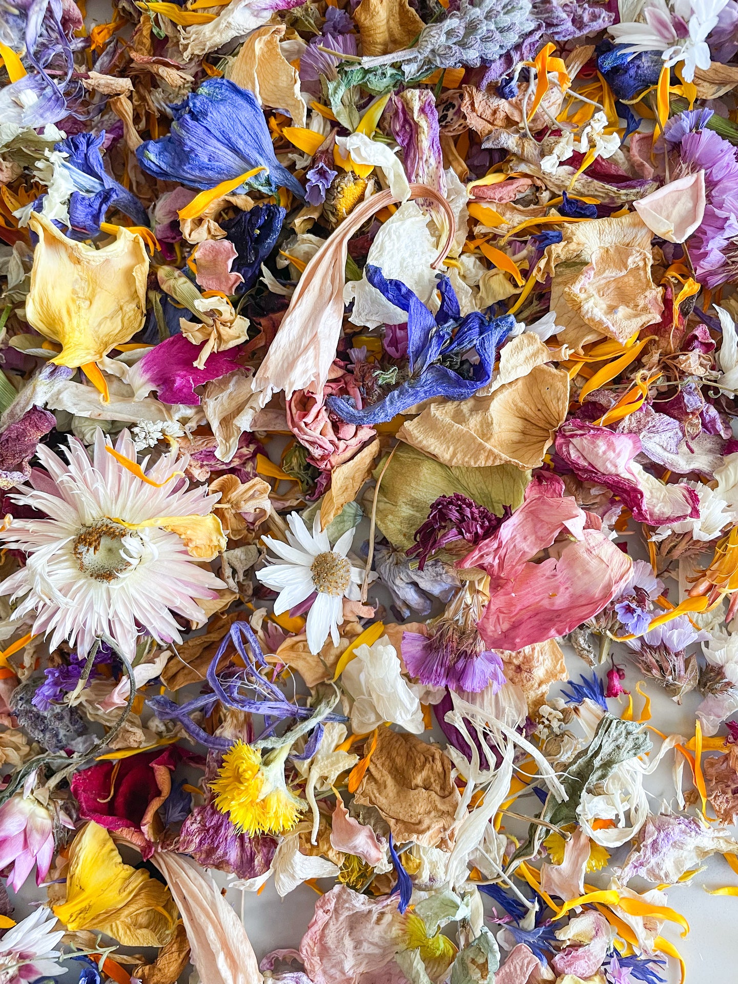 Rainbow Dried Flower Eco Confetti - The Perfect Toss