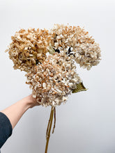 Load image into Gallery viewer, Natural Hydrangeas
